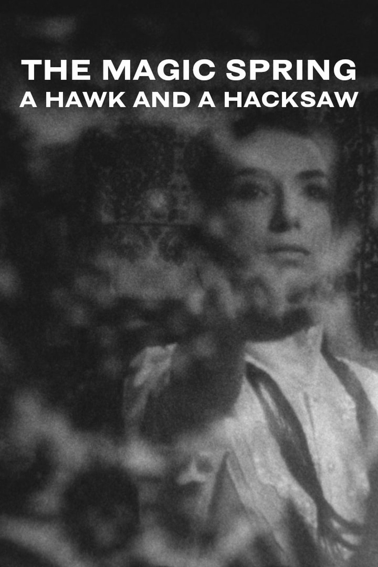 مشاهدة فيلم A Hawk and a Hacksaw - The Magic Spring مترجم بدون اعلانات - بوستر