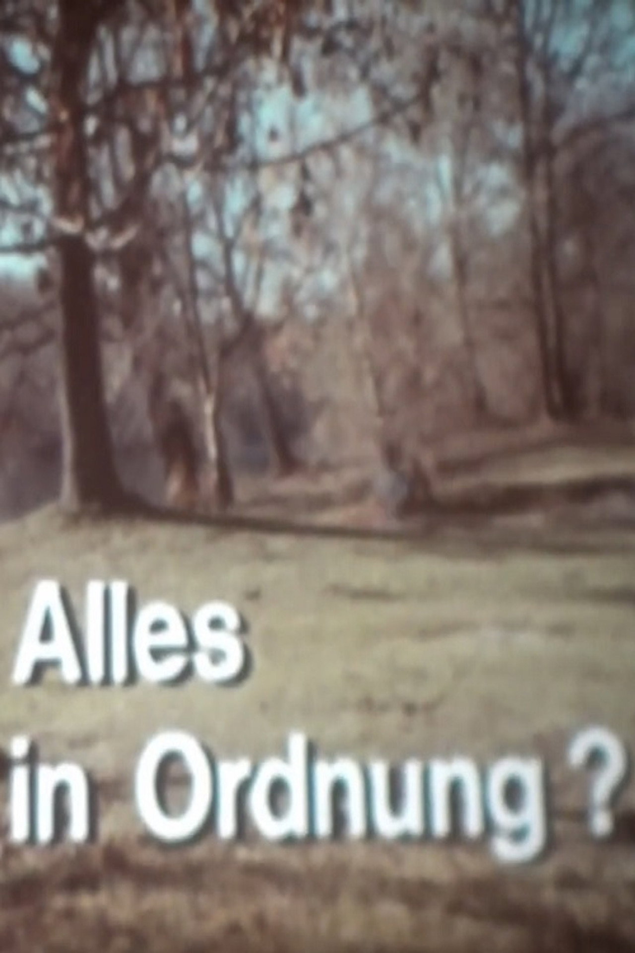 Alles in Ordnung? filmaffisch