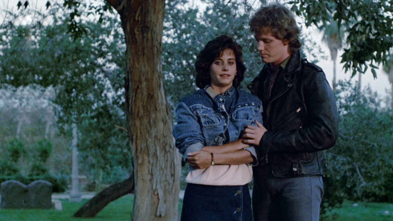 Backdrop 42 de Mestres do Universo - Versões do Cinema e Estendida — imagem para download em alta definição