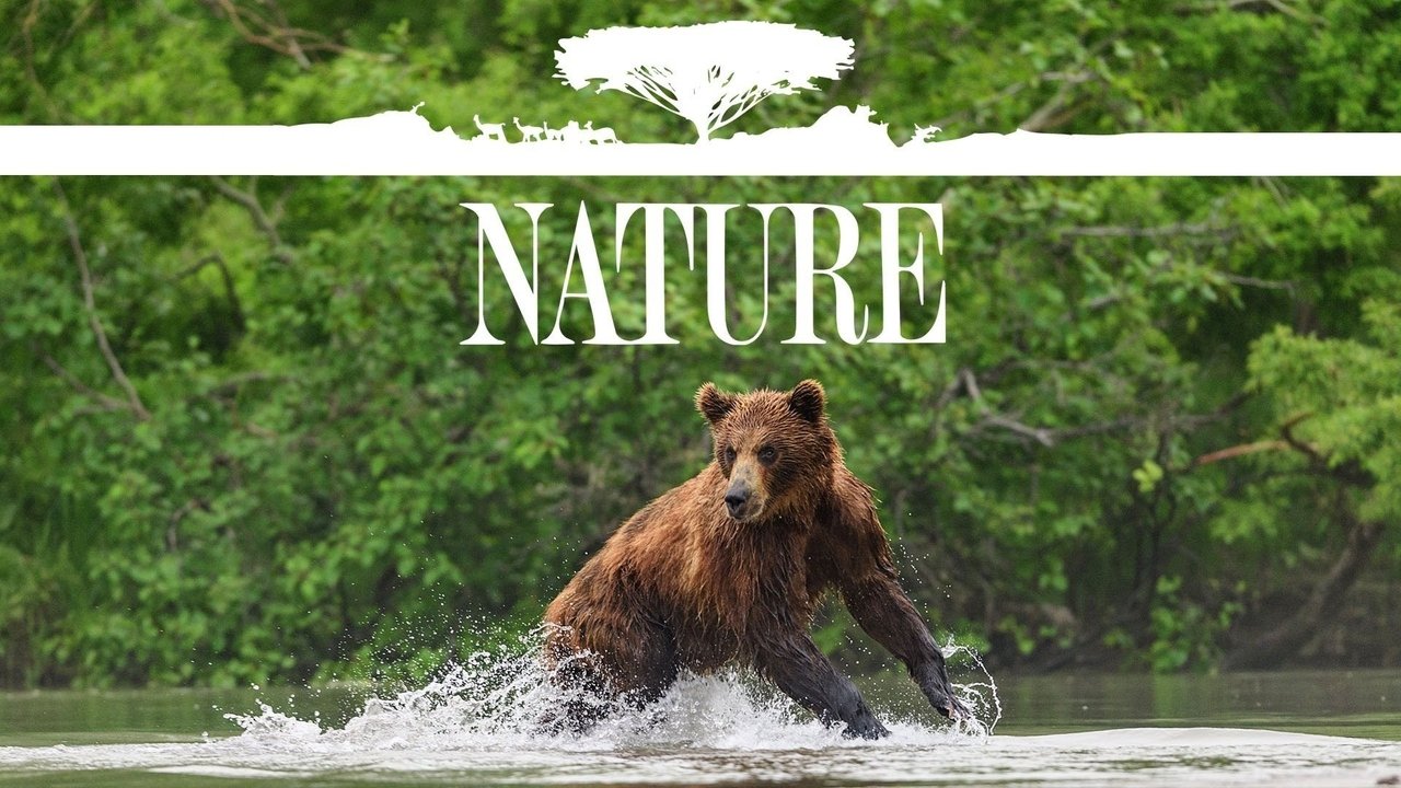 Nature - Season 42