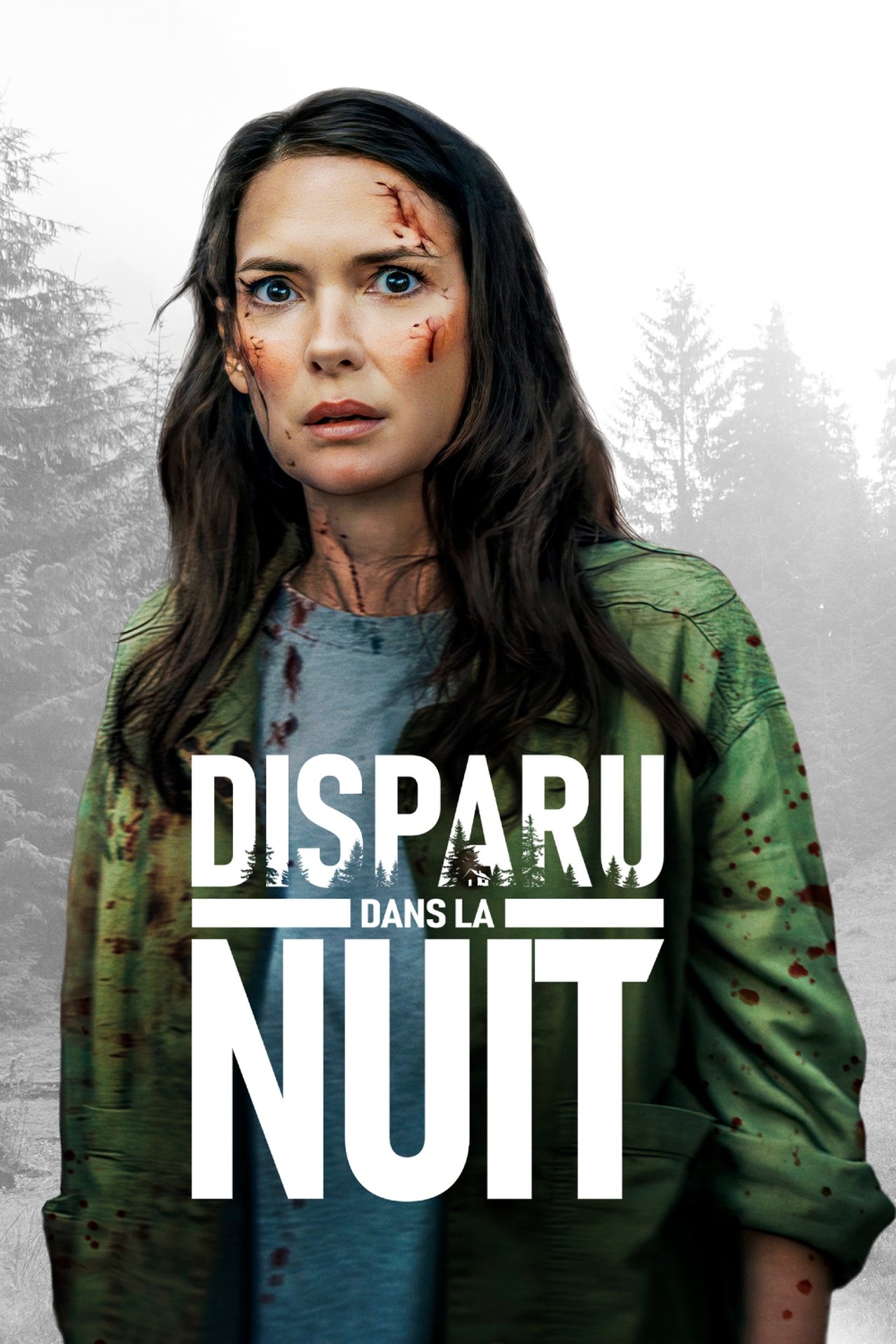 Disparu dans la nuit poster