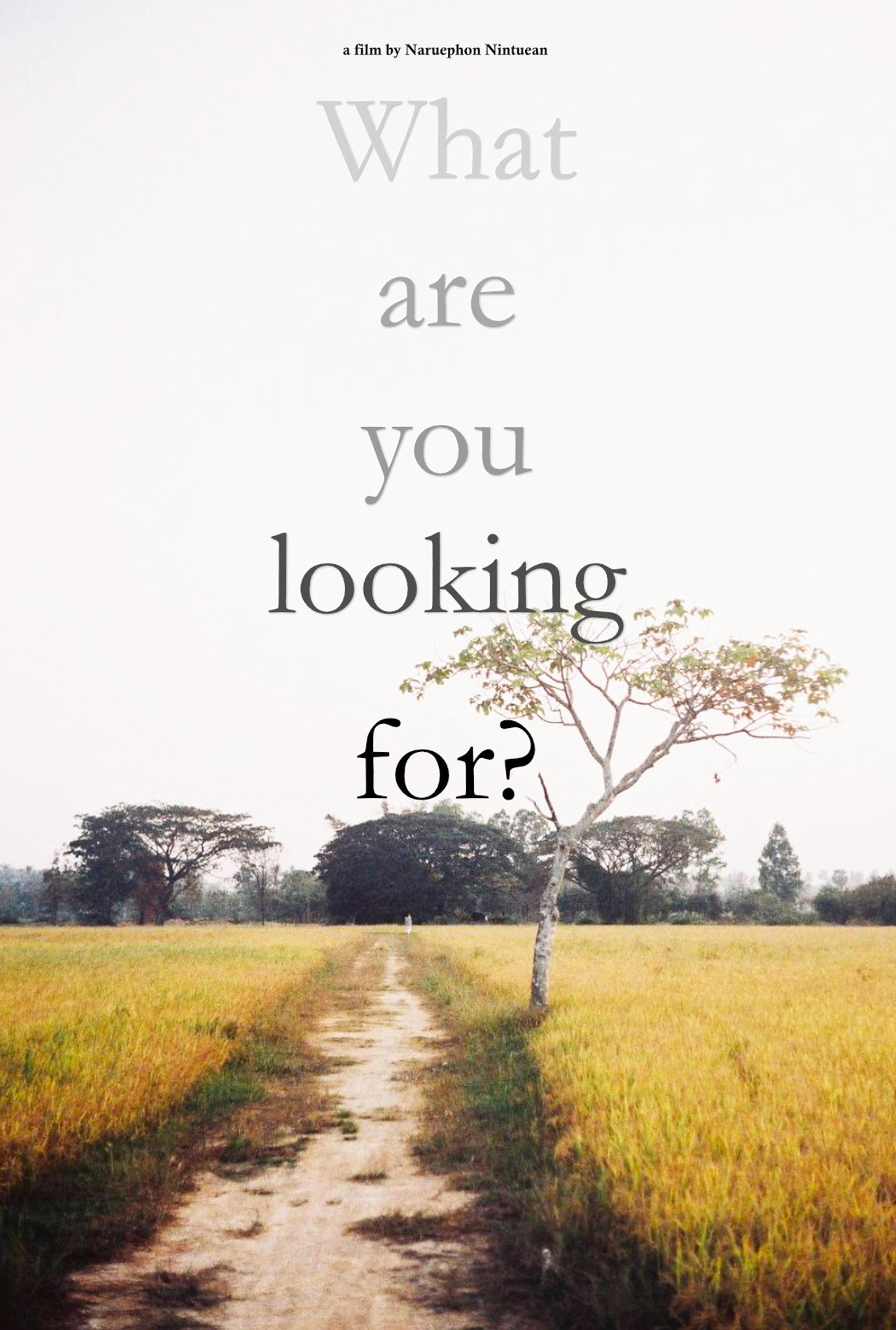 What are you looking for? poster