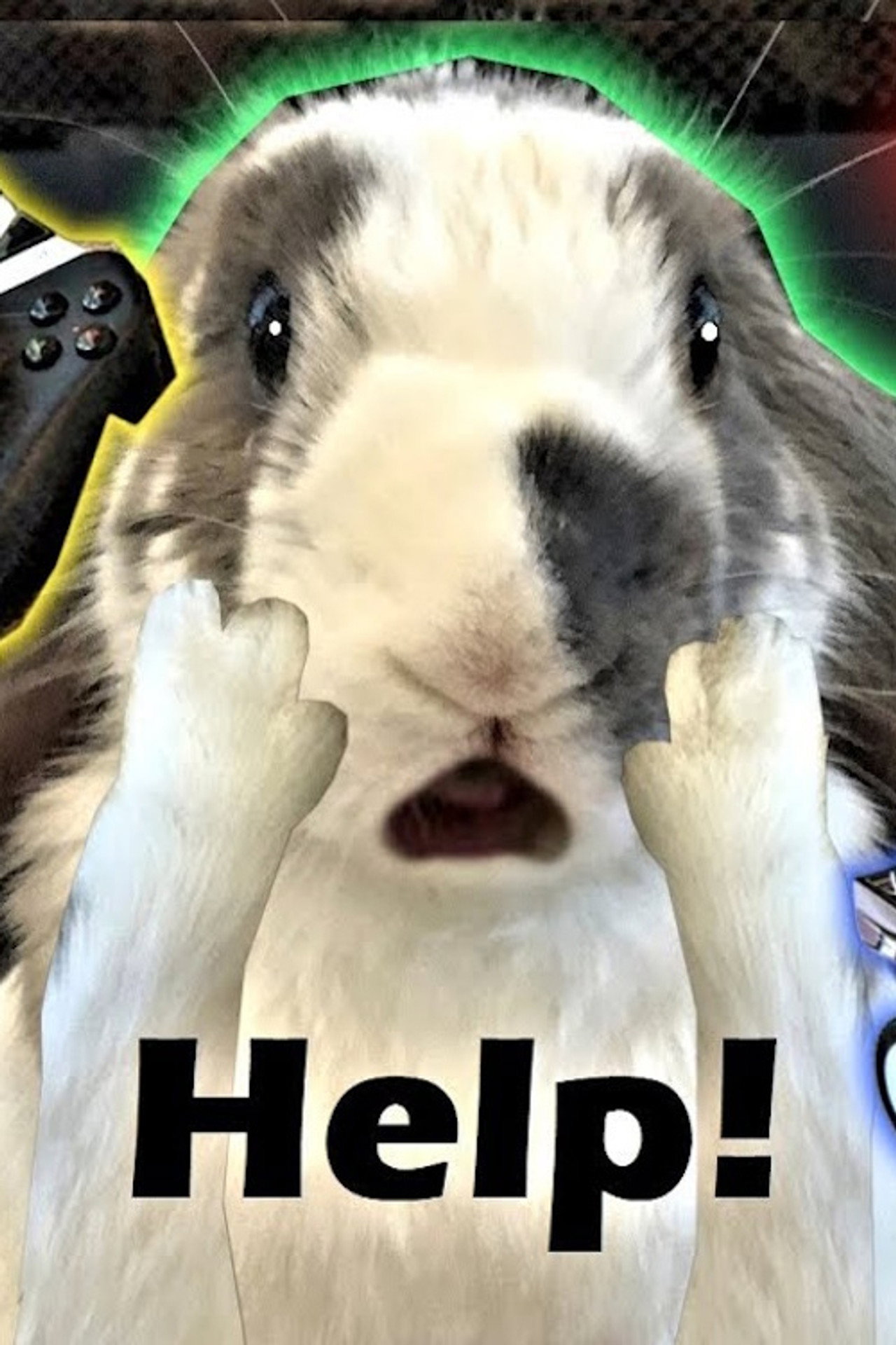 Rabbit Home Alone Backdrop