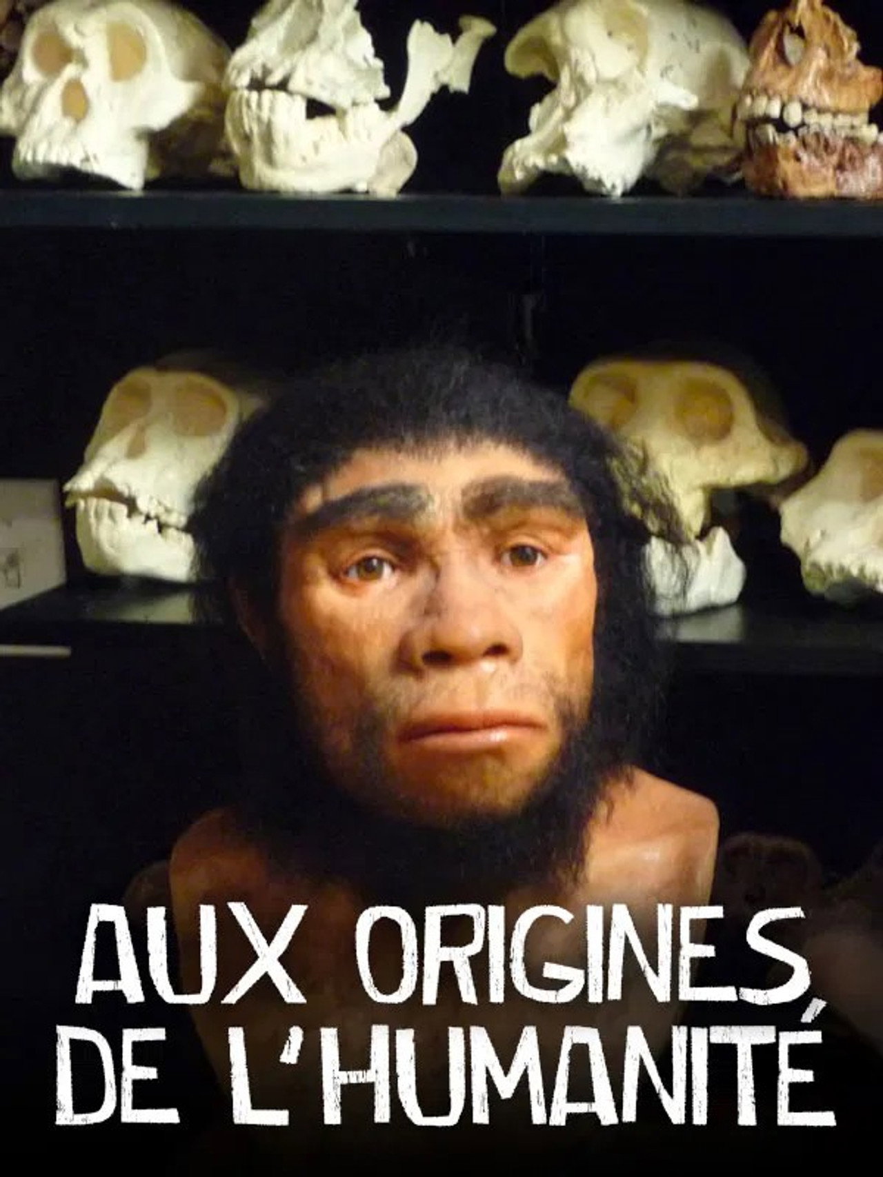 Aux origines de l'humanité affisch