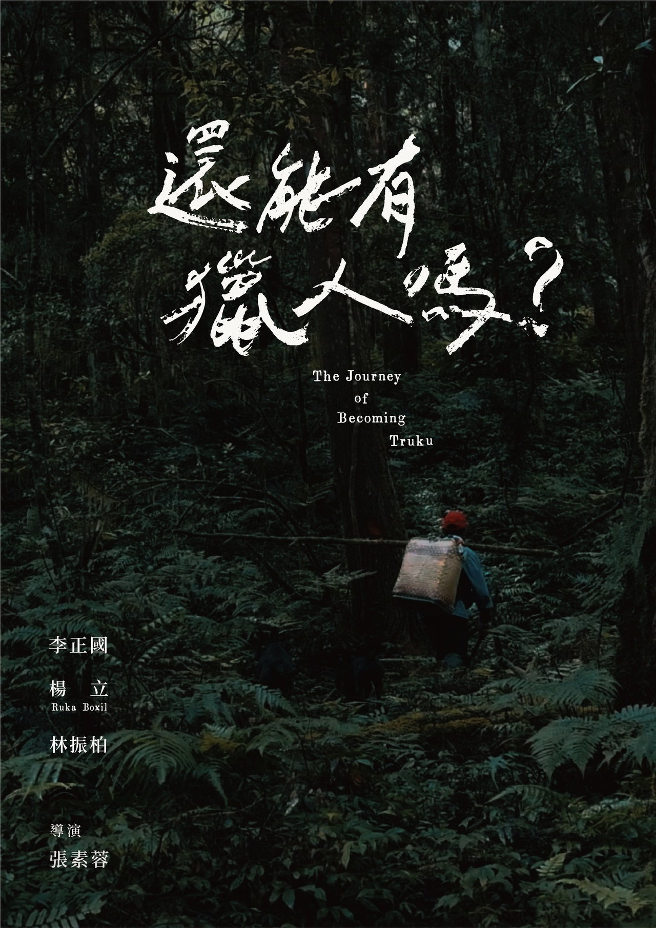 還能有獵人嗎? filmaffisch