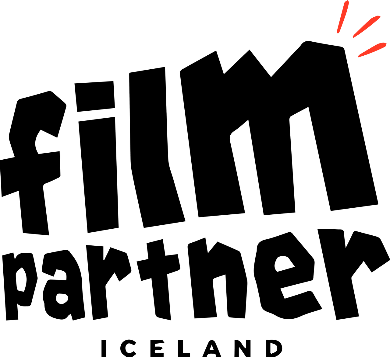Film Partner Iceland