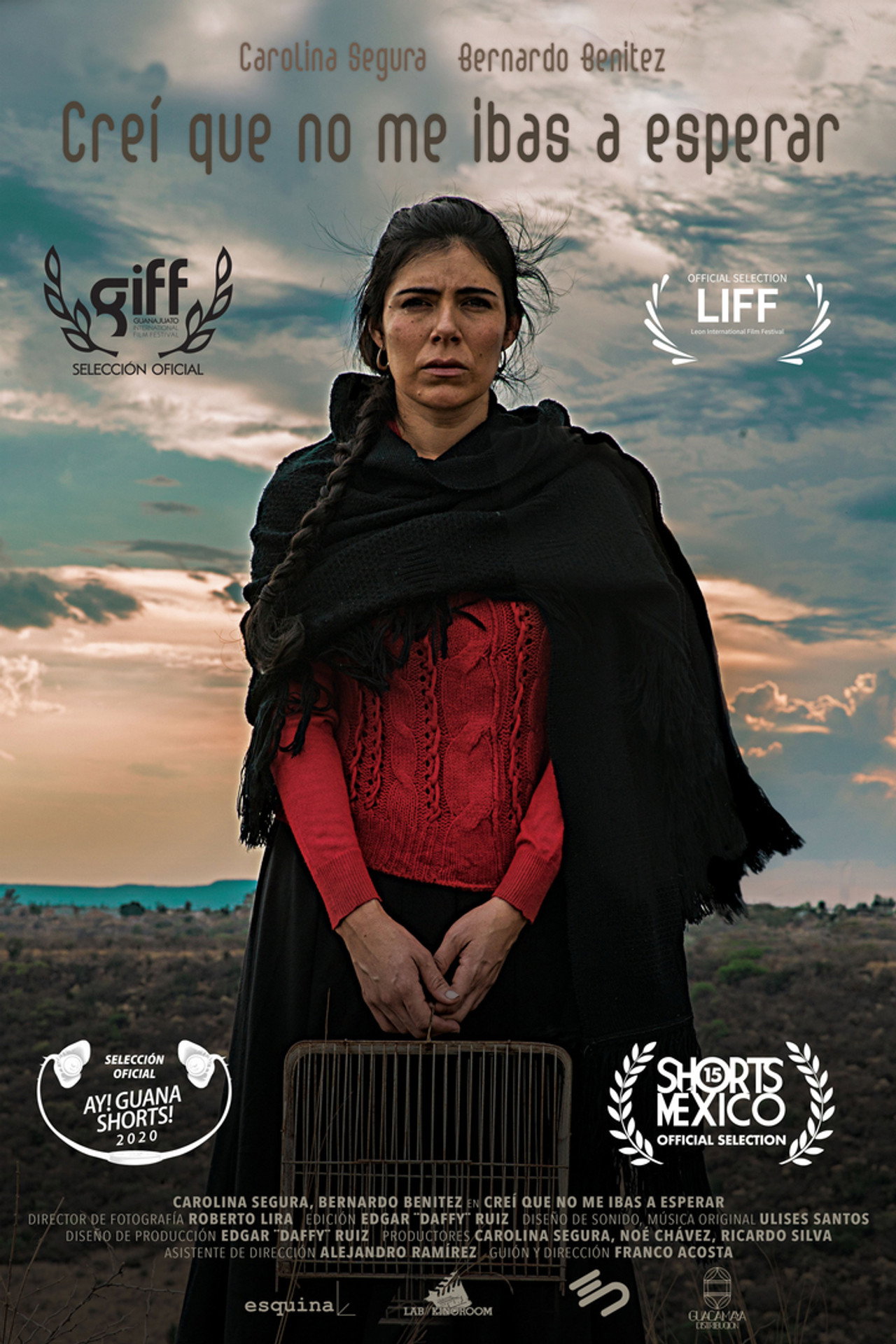 Creí Que No Me Ibas A Esperar filmaffisch