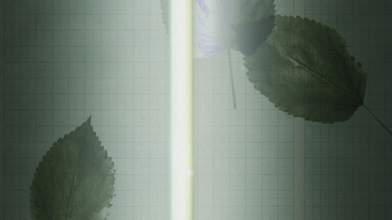 One Deadly Mistake — Épisode 6