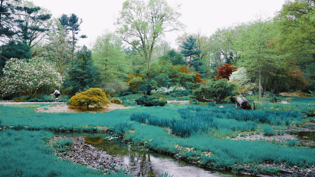 Out of Body, Out of Mind backdrop