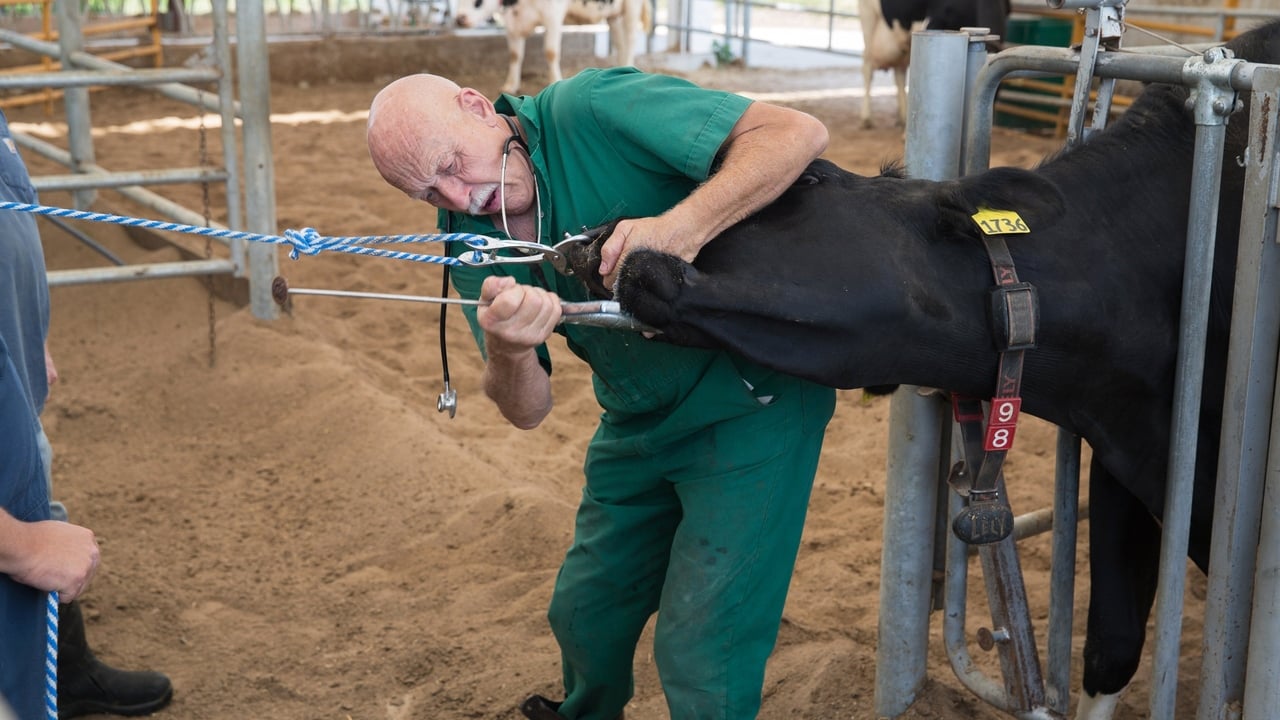 The Incredible Dr. Pol - Season 13 Episode 6 : Hook. Line & Lemur