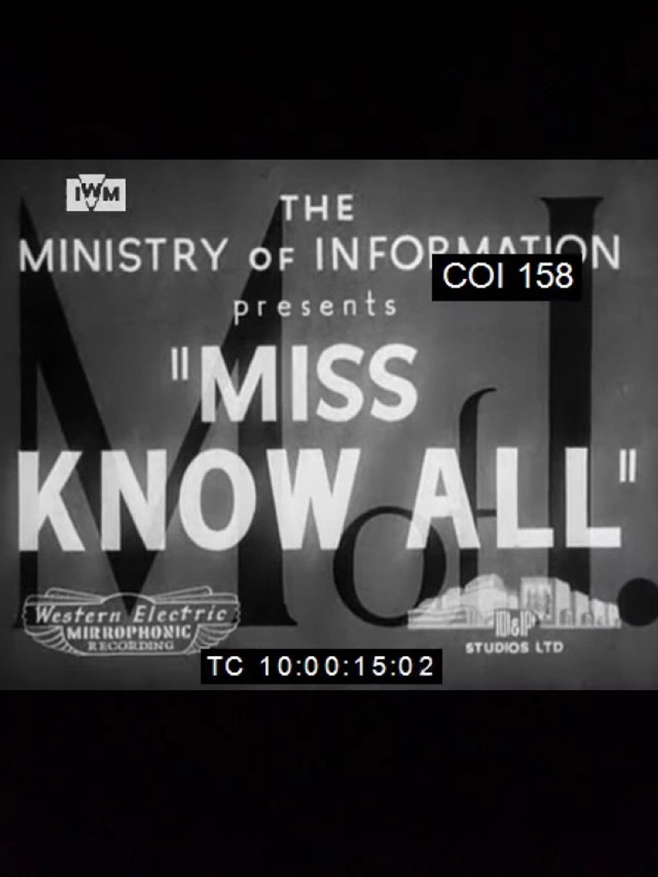 Miss Knowall Backdrop