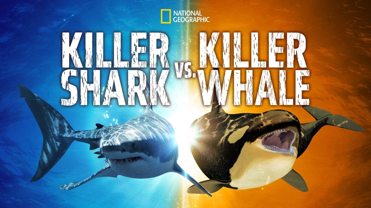 Killer Shark Vs. Killer Whale background