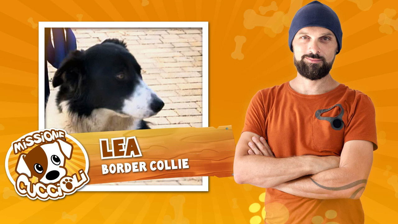 Missione cuccioli — Épisode 7