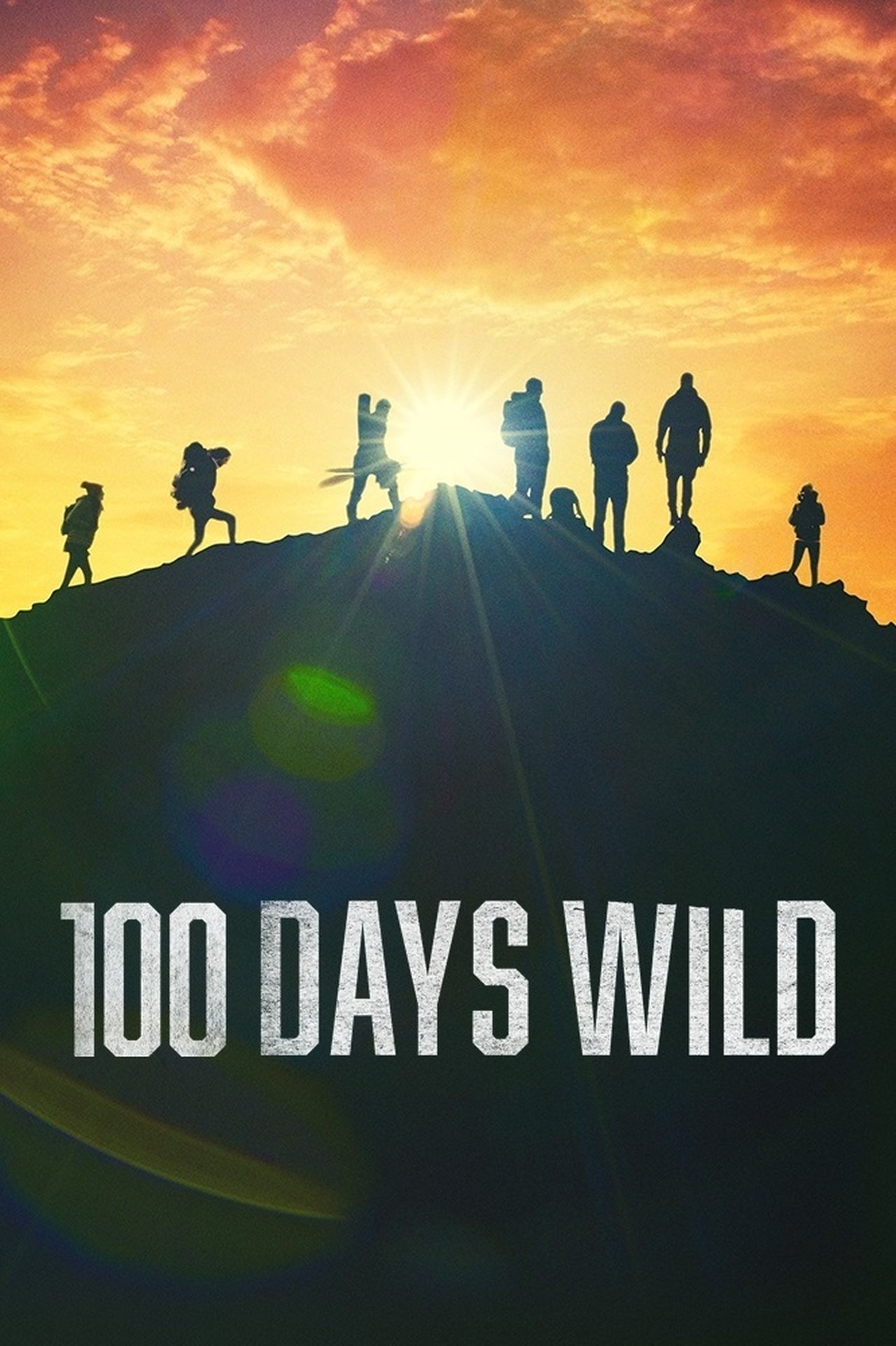 Poster 100 Days Wild