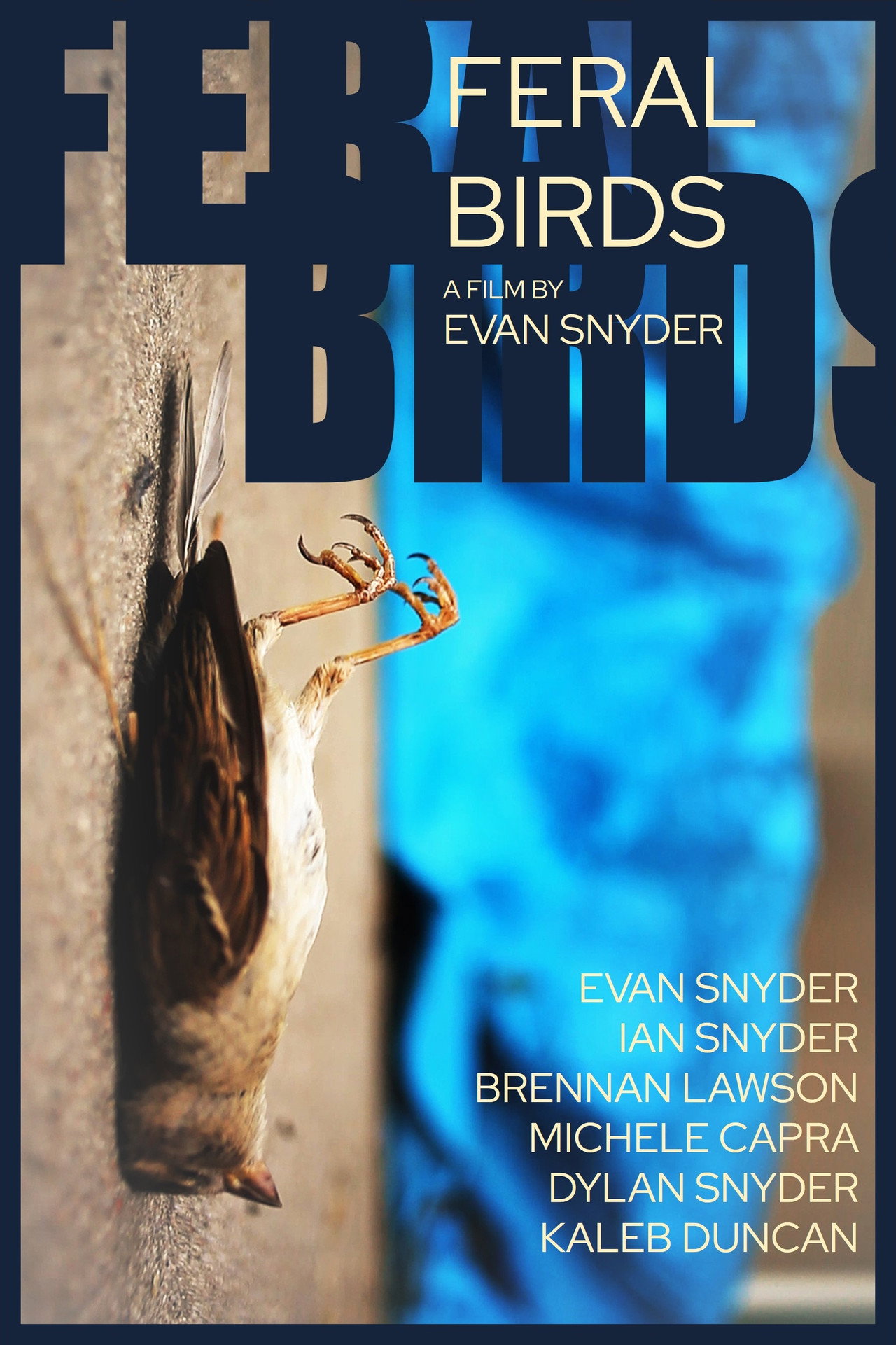 Feral Birds Backdrop