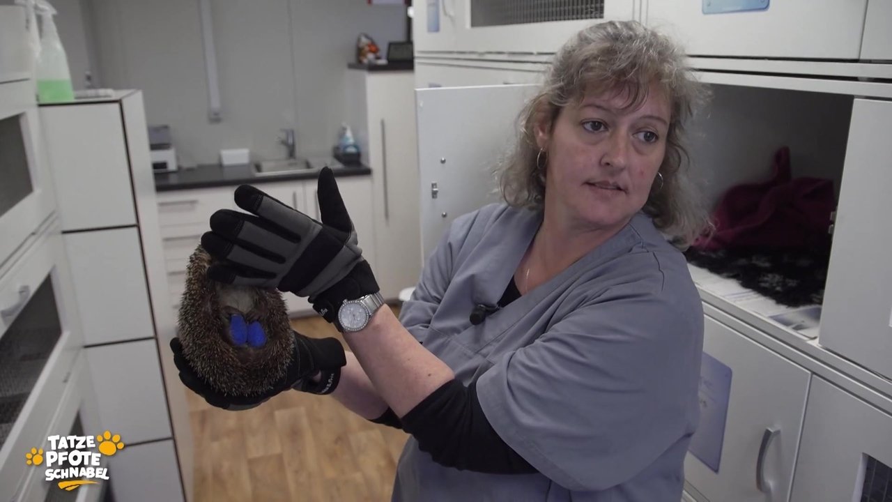 Tatze, Pfote, Schnabel - Season 2 Episode 11 : Episode 11