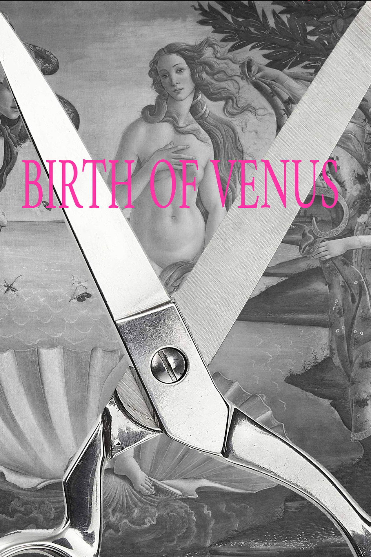 Birth of Venus Backdrop