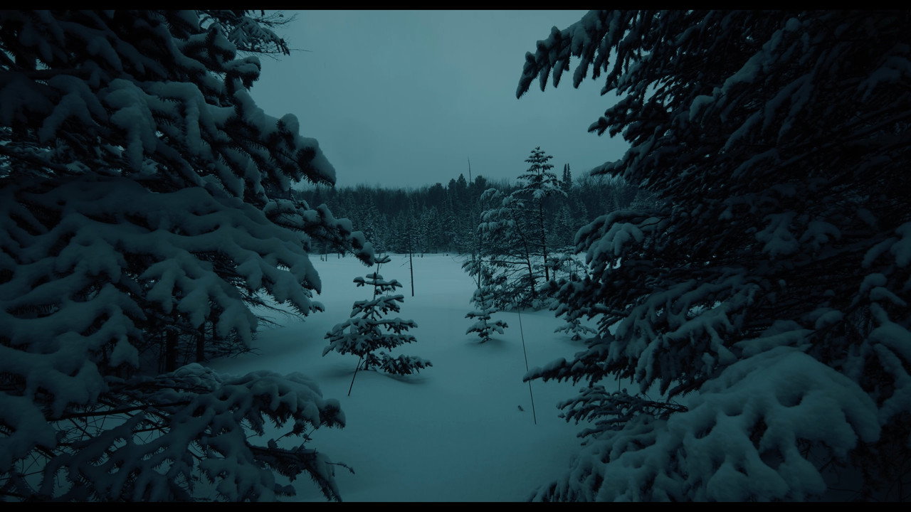 Gore still 9