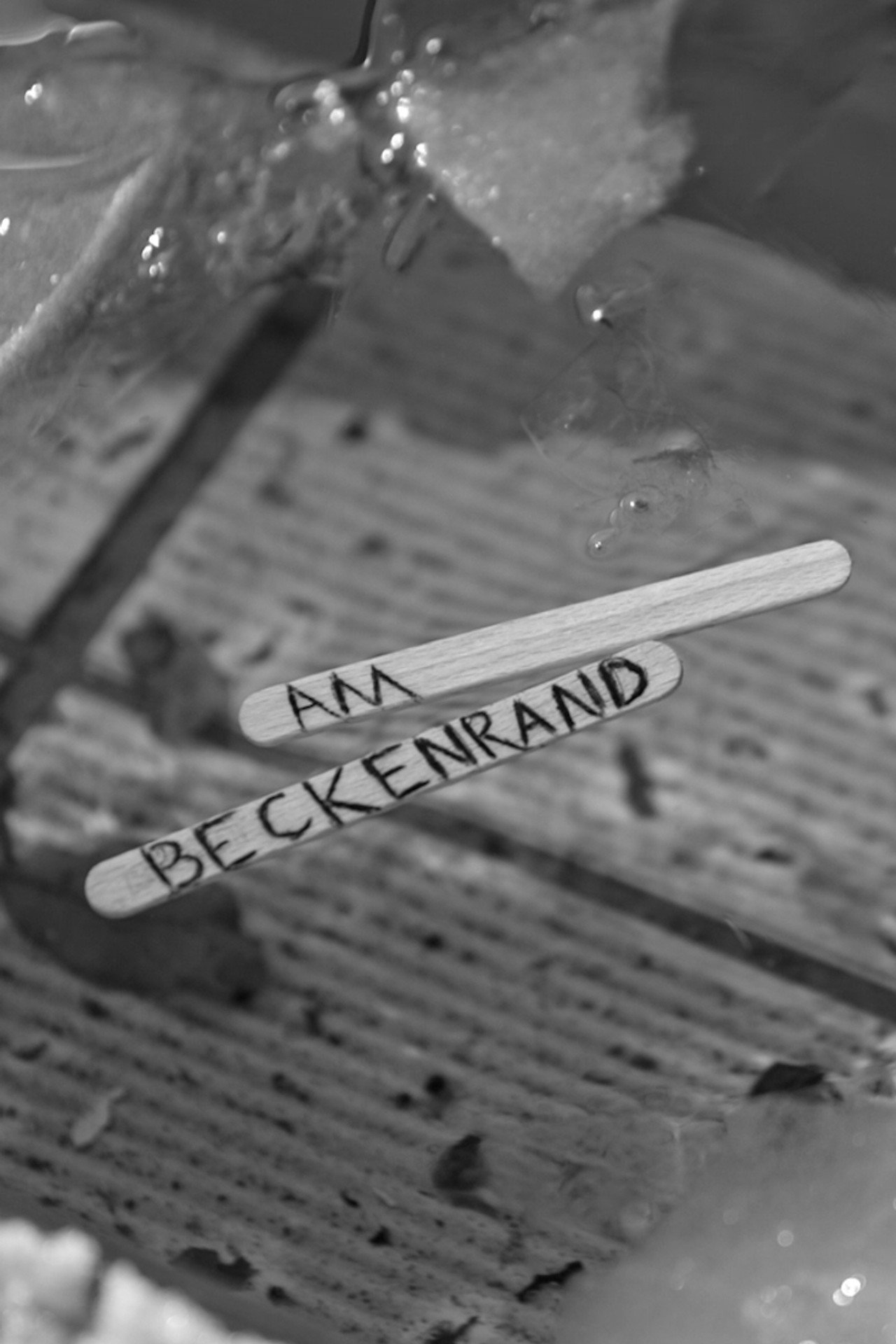 Am Beckenrand