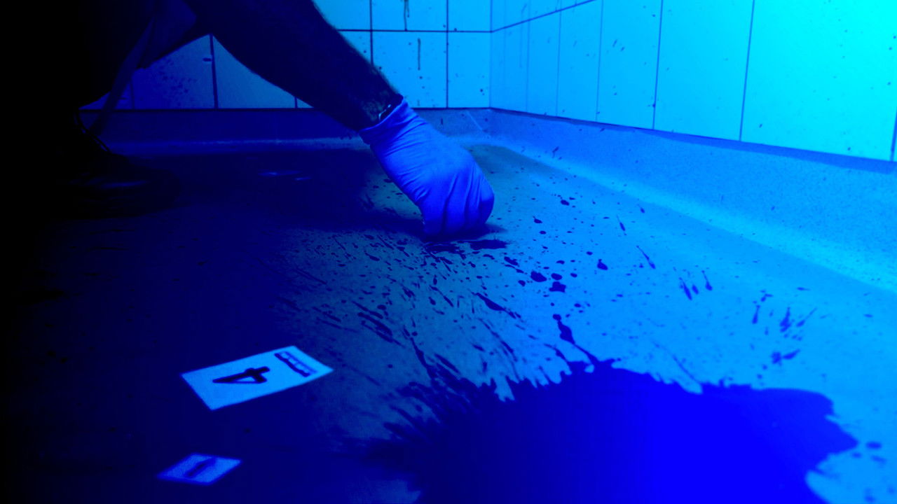 Les Coulisses Du Crime — Expert en morpho analyse des traces de sang