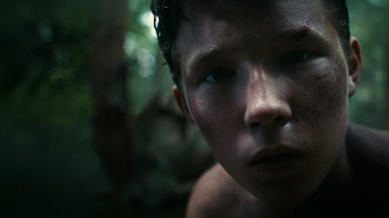 Lost on a Mountain in Maine (2024) Hindi Dubbed AMZN backdrop