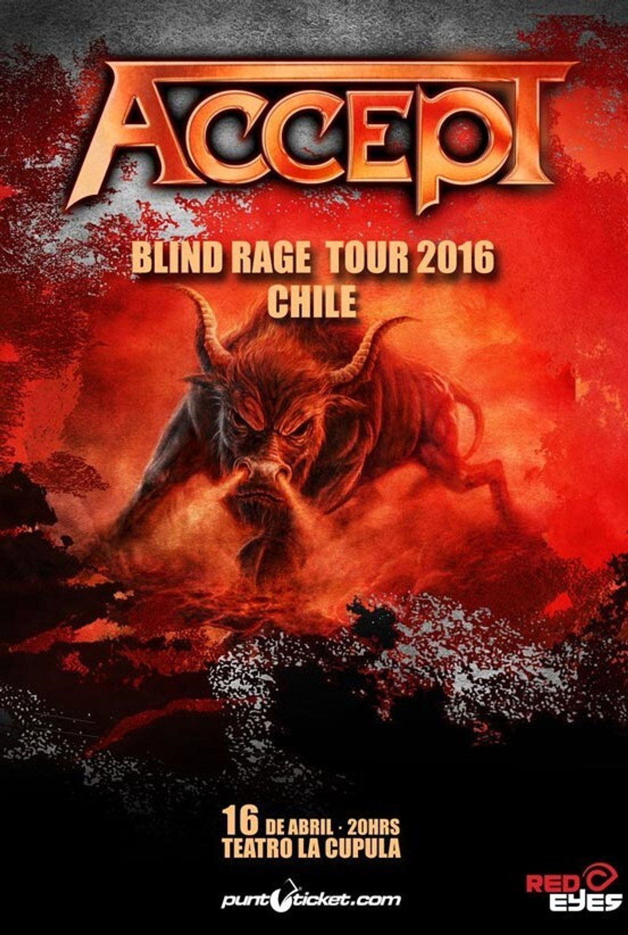 Accept : Live in Chile filmaffisch