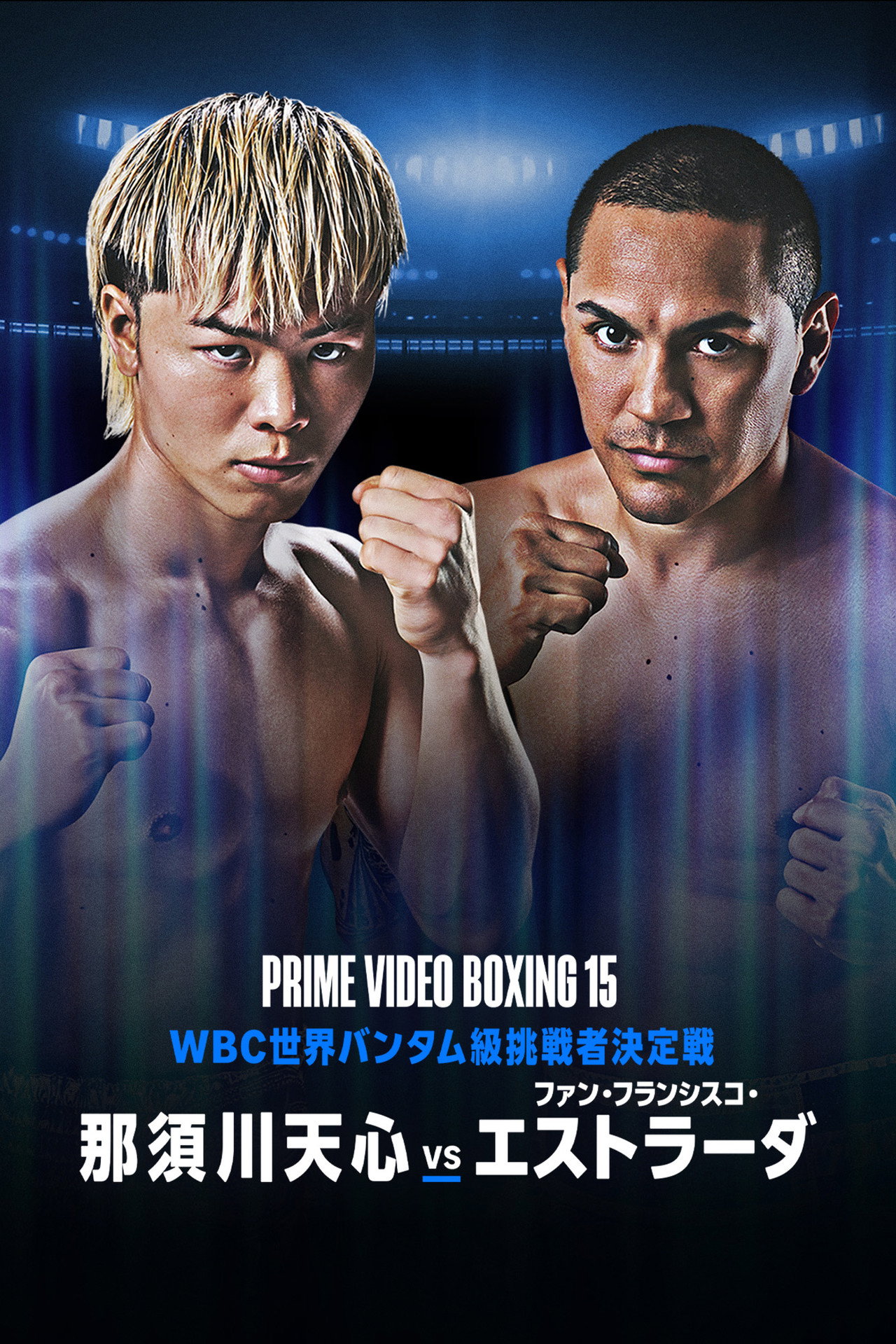 PRIME VIDEO BOXING 15 filmaffisch