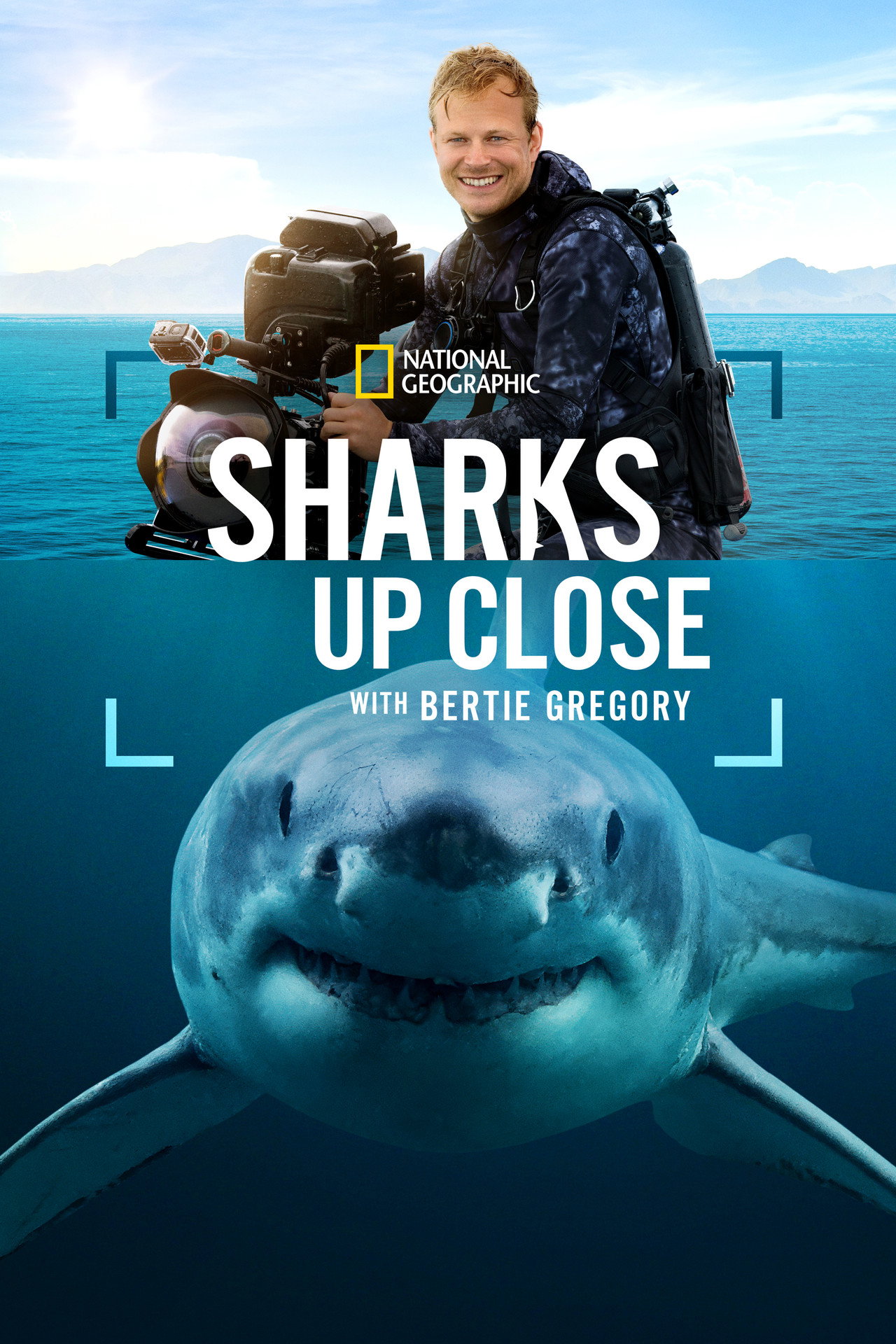 Sharks Up Close with Bertie Gregory