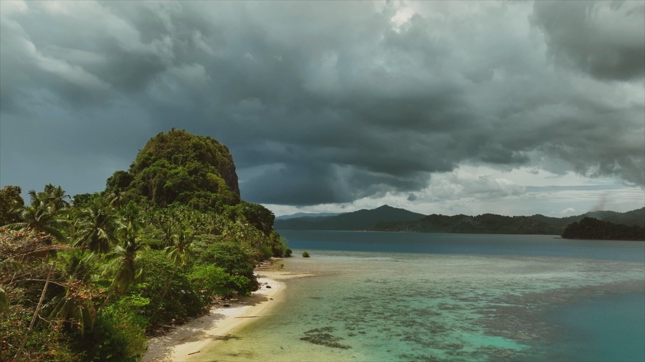 Robinson - Season 24 Episode 25 : Episode 25