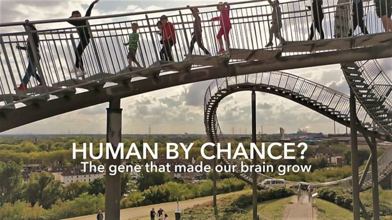 Human By Chance?