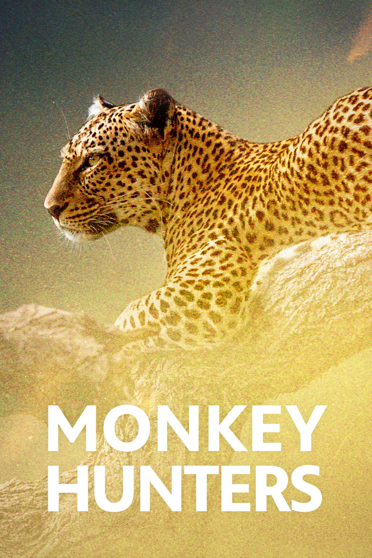 Monkey Hunters filmaffisch
