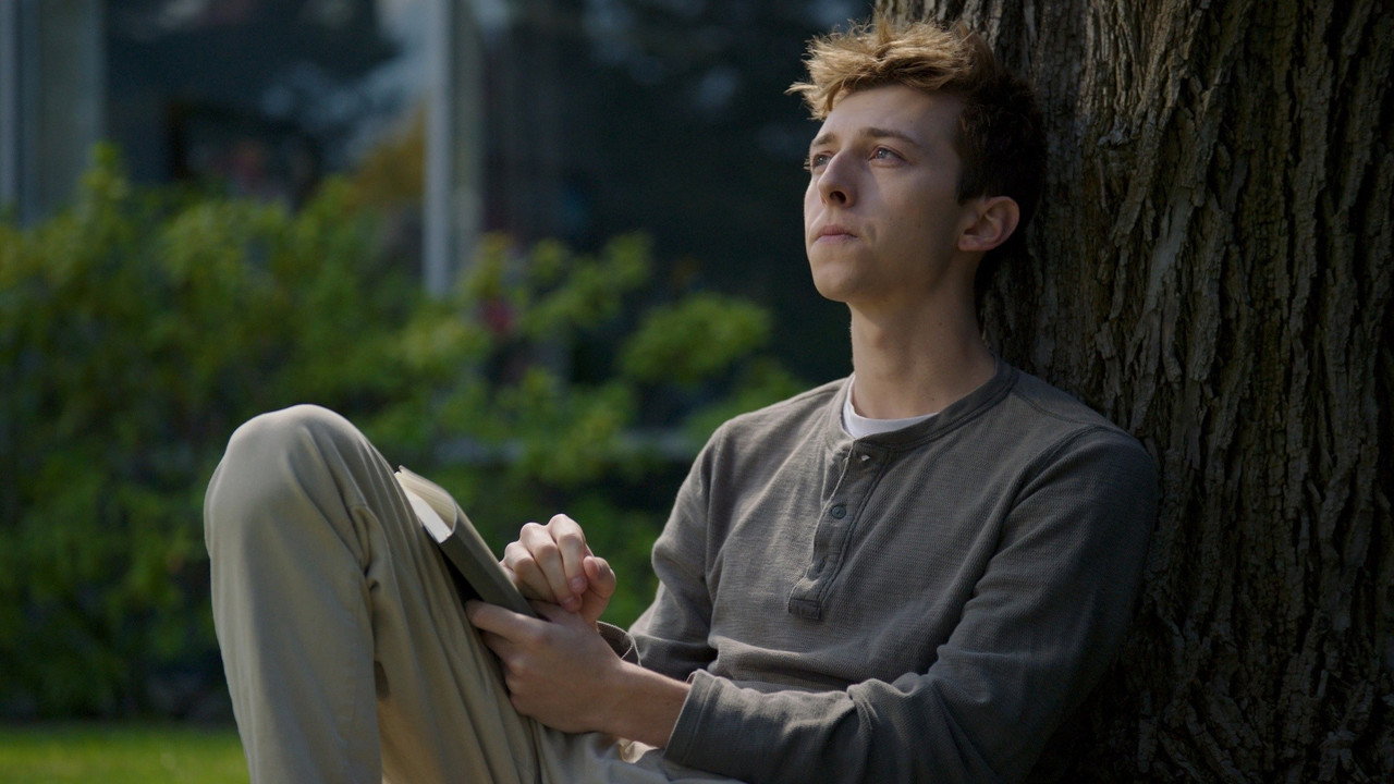 We Could Still Be Pen Pals (2024) Hindi Dubbed WEBRip backdrop