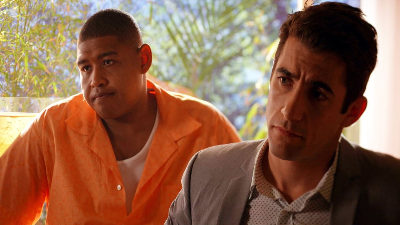 CSI: Miami - Season 9 Episode 14 : Stoned Cold