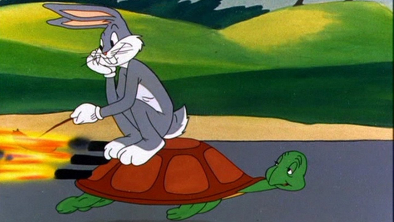 Rabbit Transit