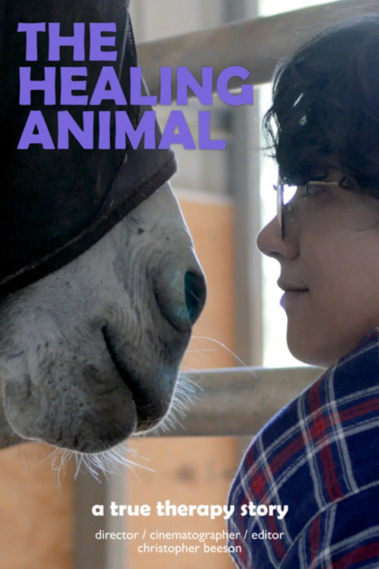 The Healing Animal