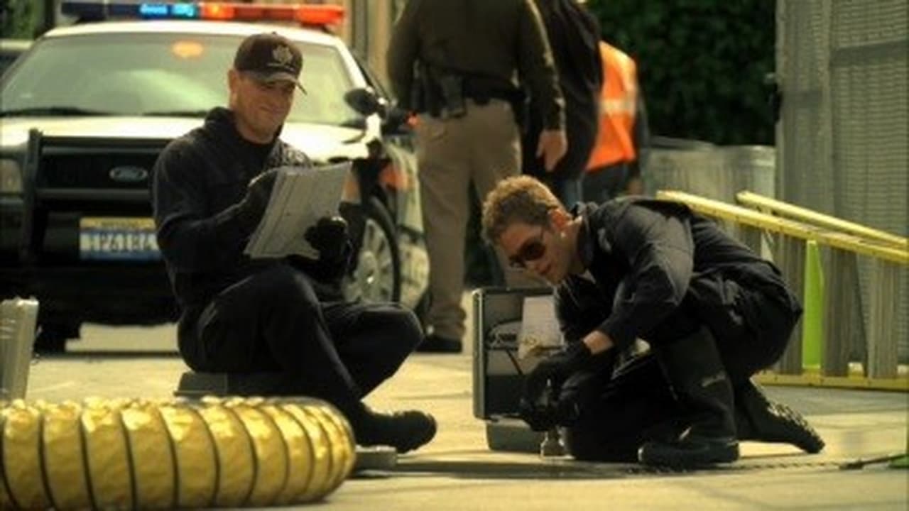 CSI: Crime Scene Investigation - Season 10 Episode 19 : World's End