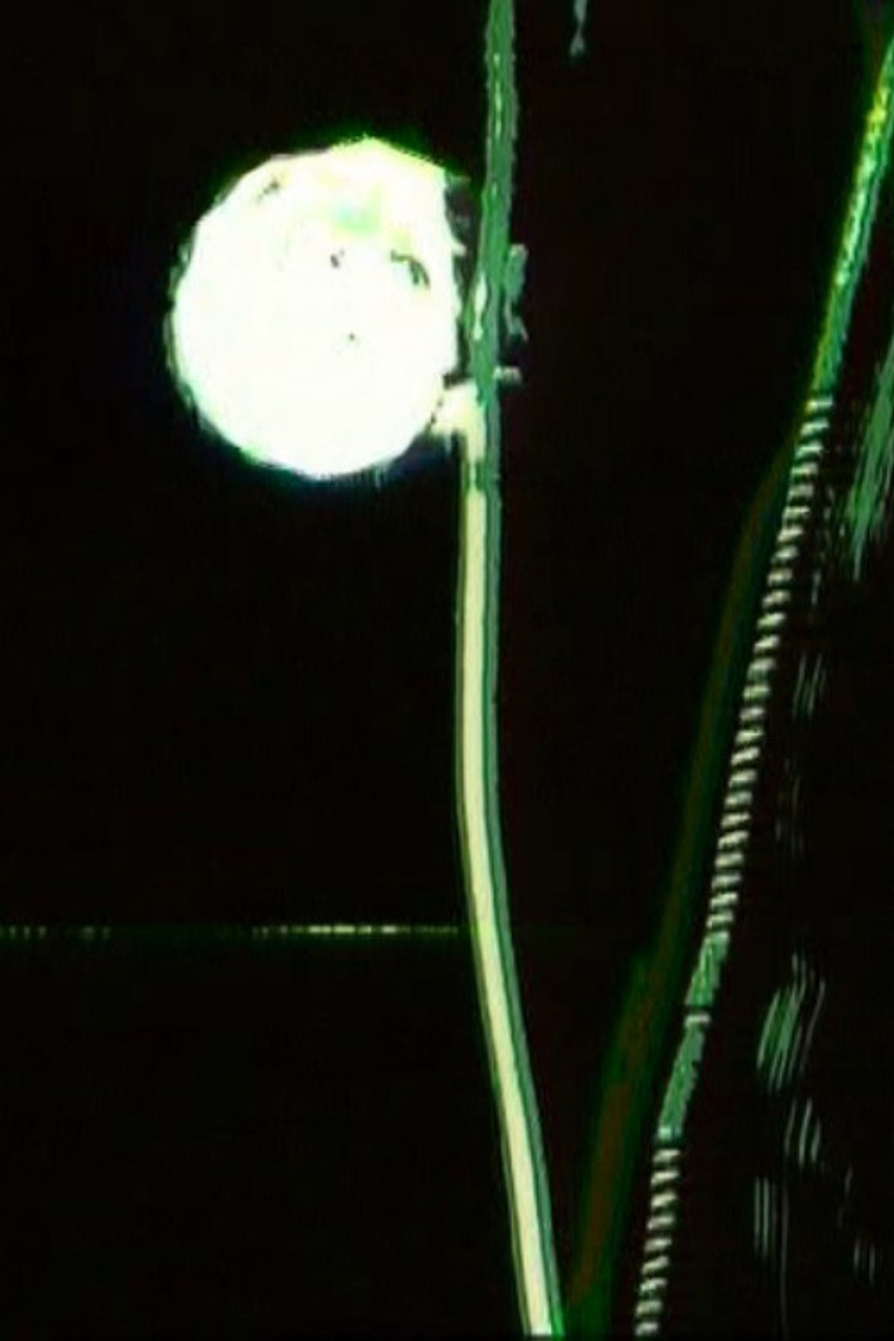 Mondlicht filmaffisch