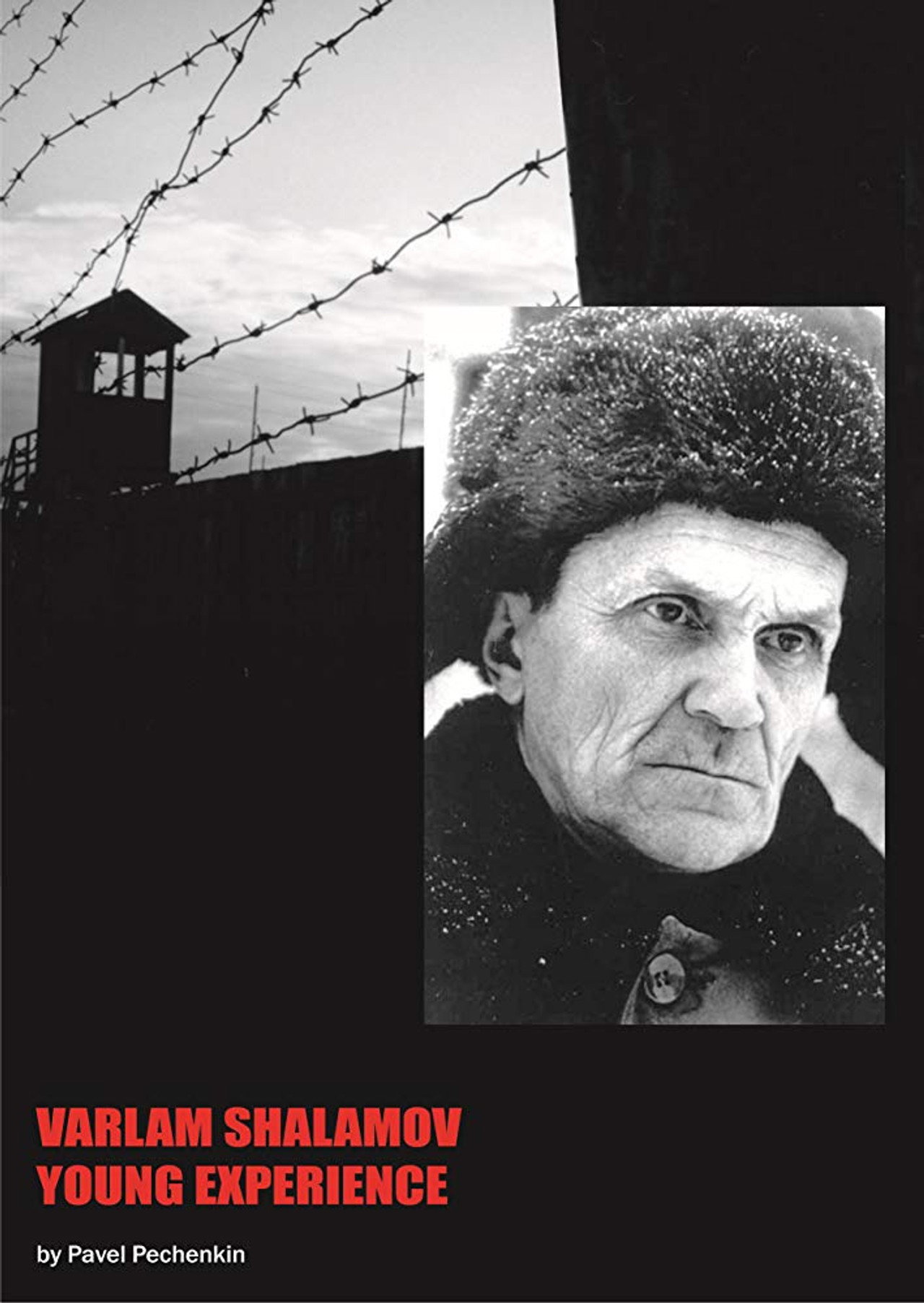 Варлаам Шаламов. Опыт юноши filmaffisch