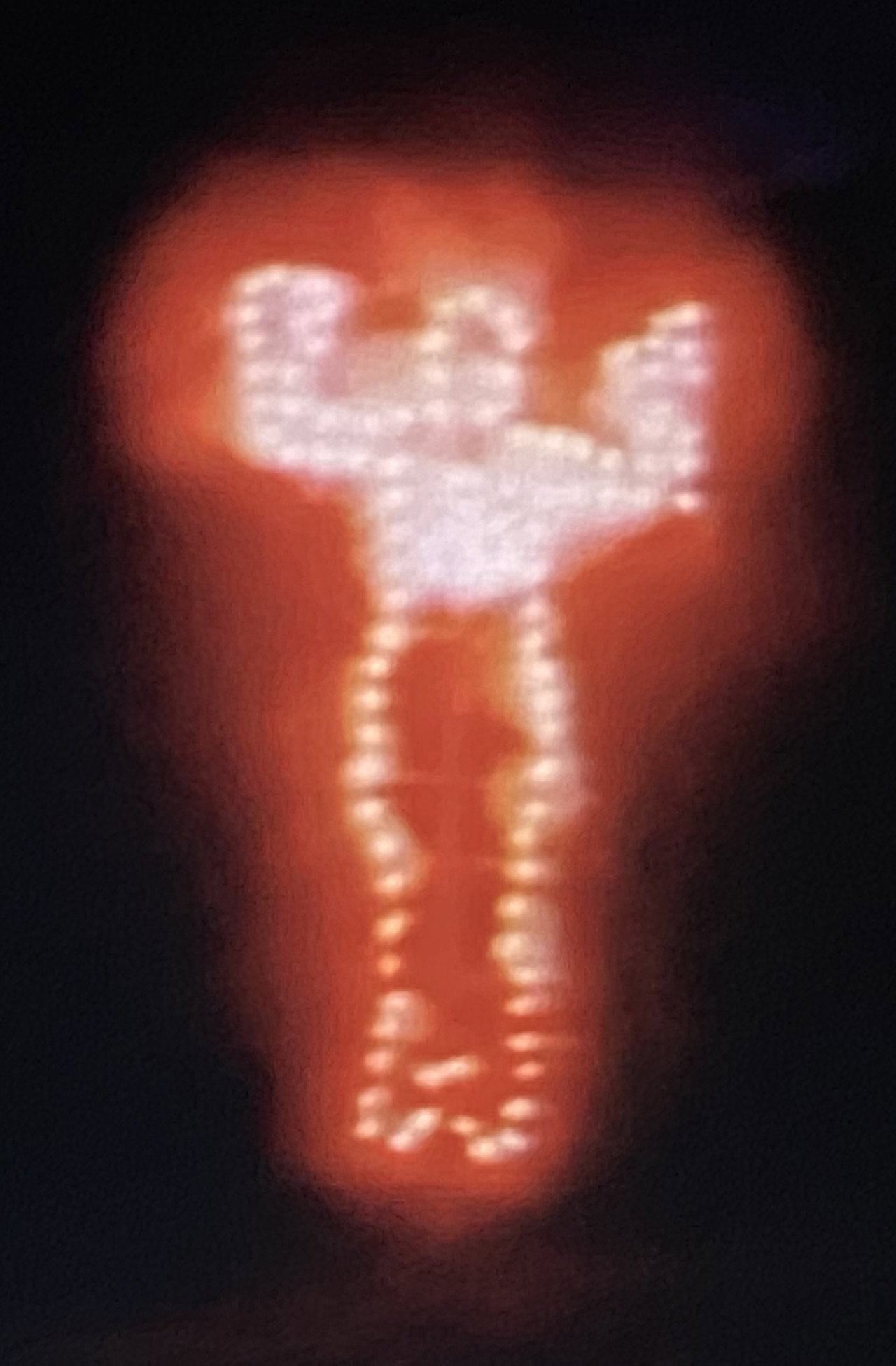 Ana Mendieta: Fuego de Tierra filmaffisch