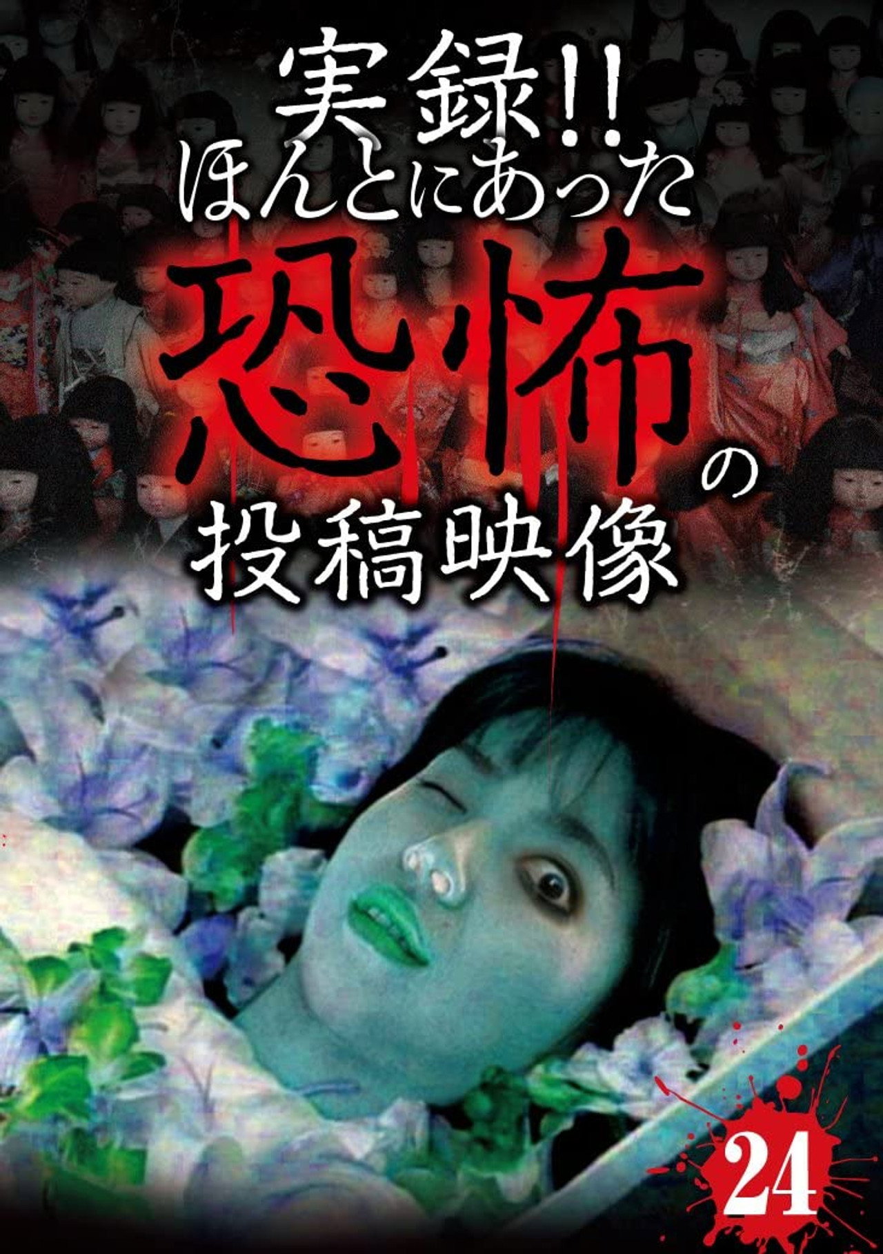 Actual Record! Real Horror Posted Video 24 poster