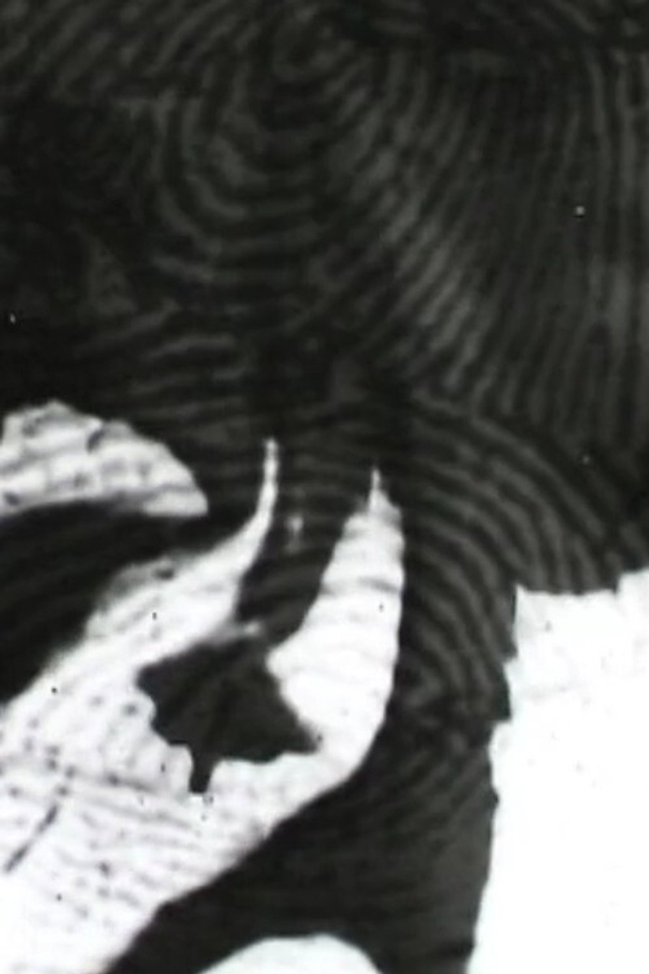 A Rough History (of the destruction of fingerprints) filmaffisch
