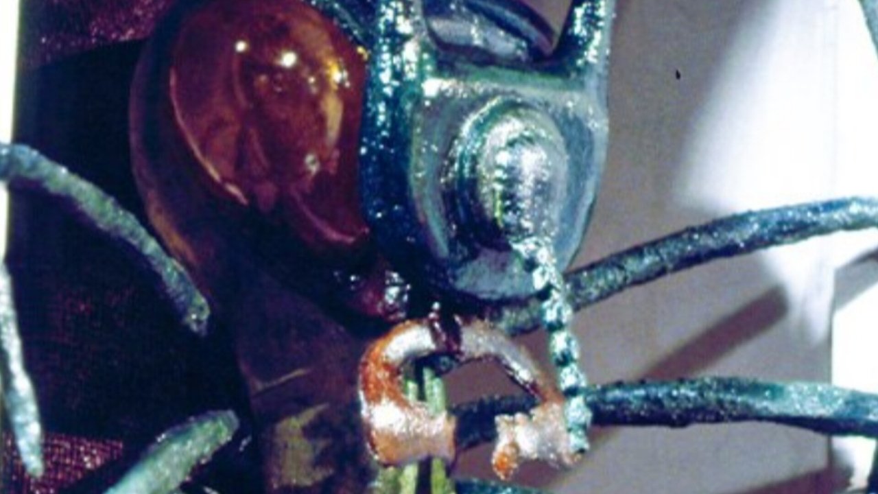 title image