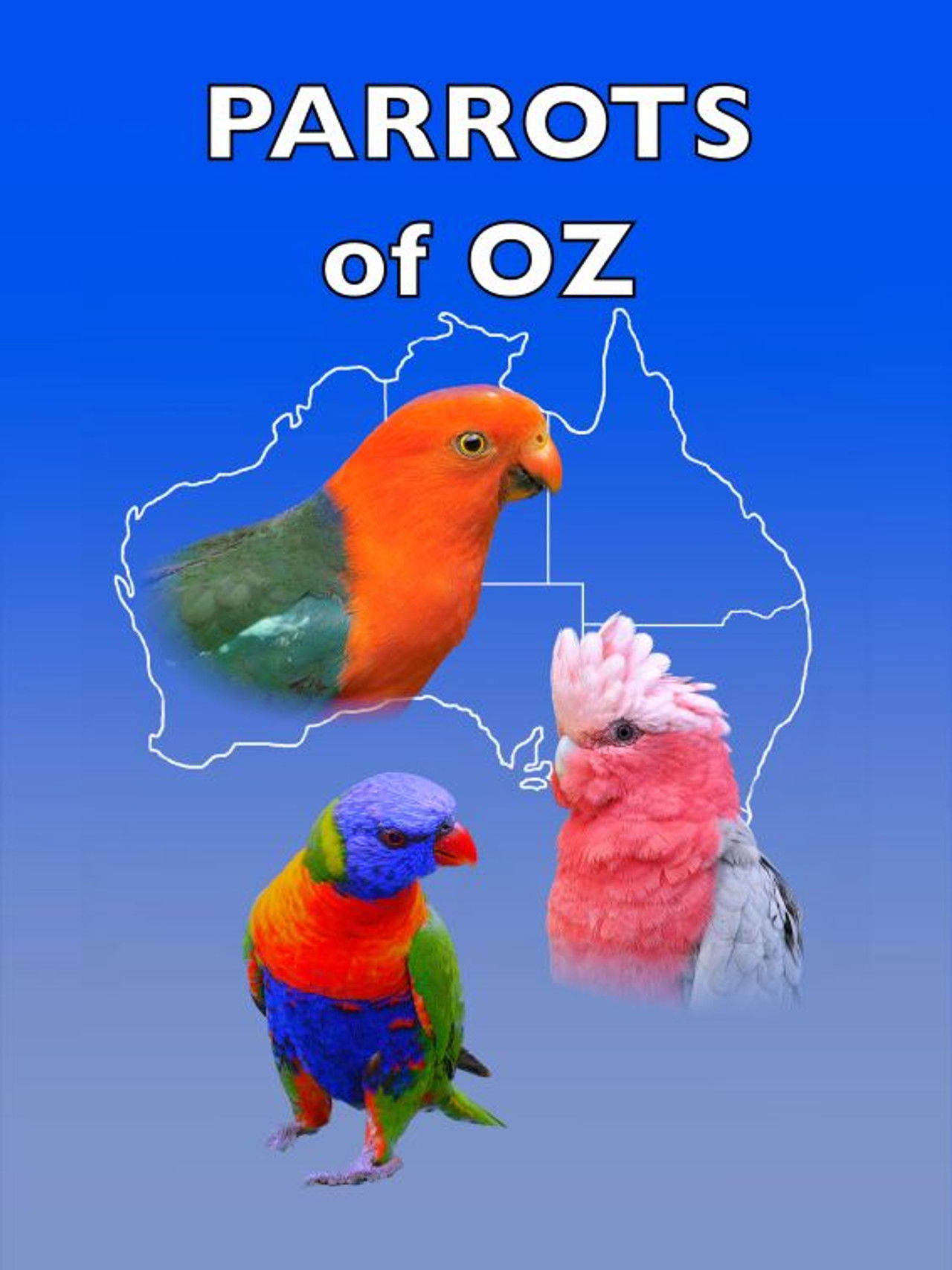 Parrots of Oz poster