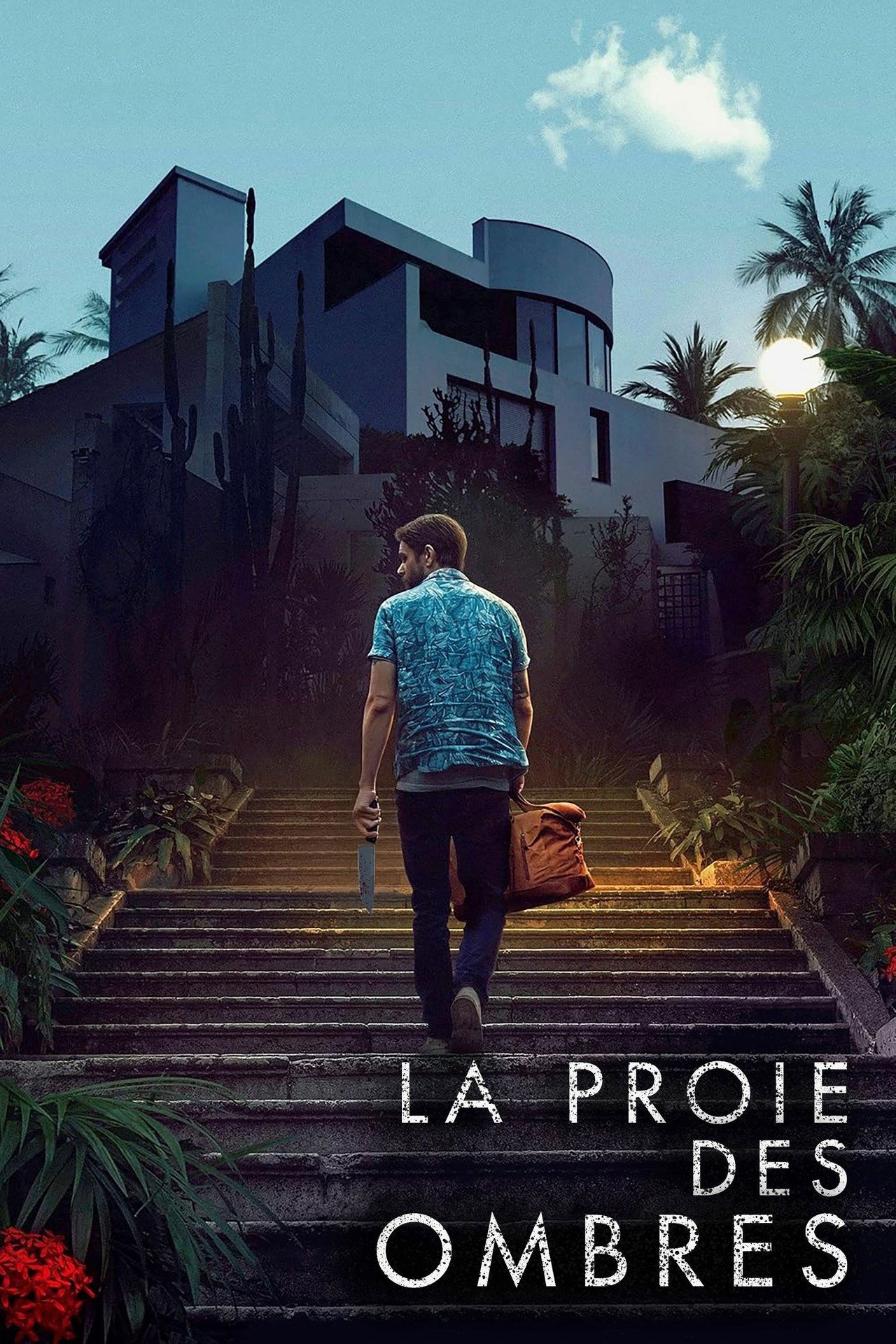 La Proie des Ombres poster