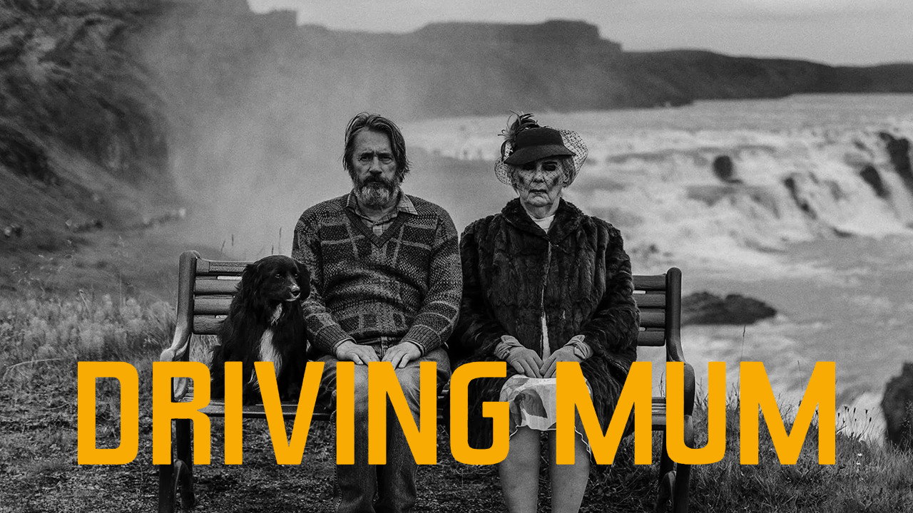 Driving Mum backdrop