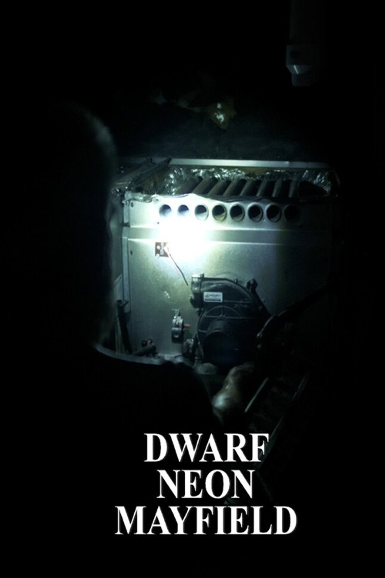 Dwarf Neon Mayfield