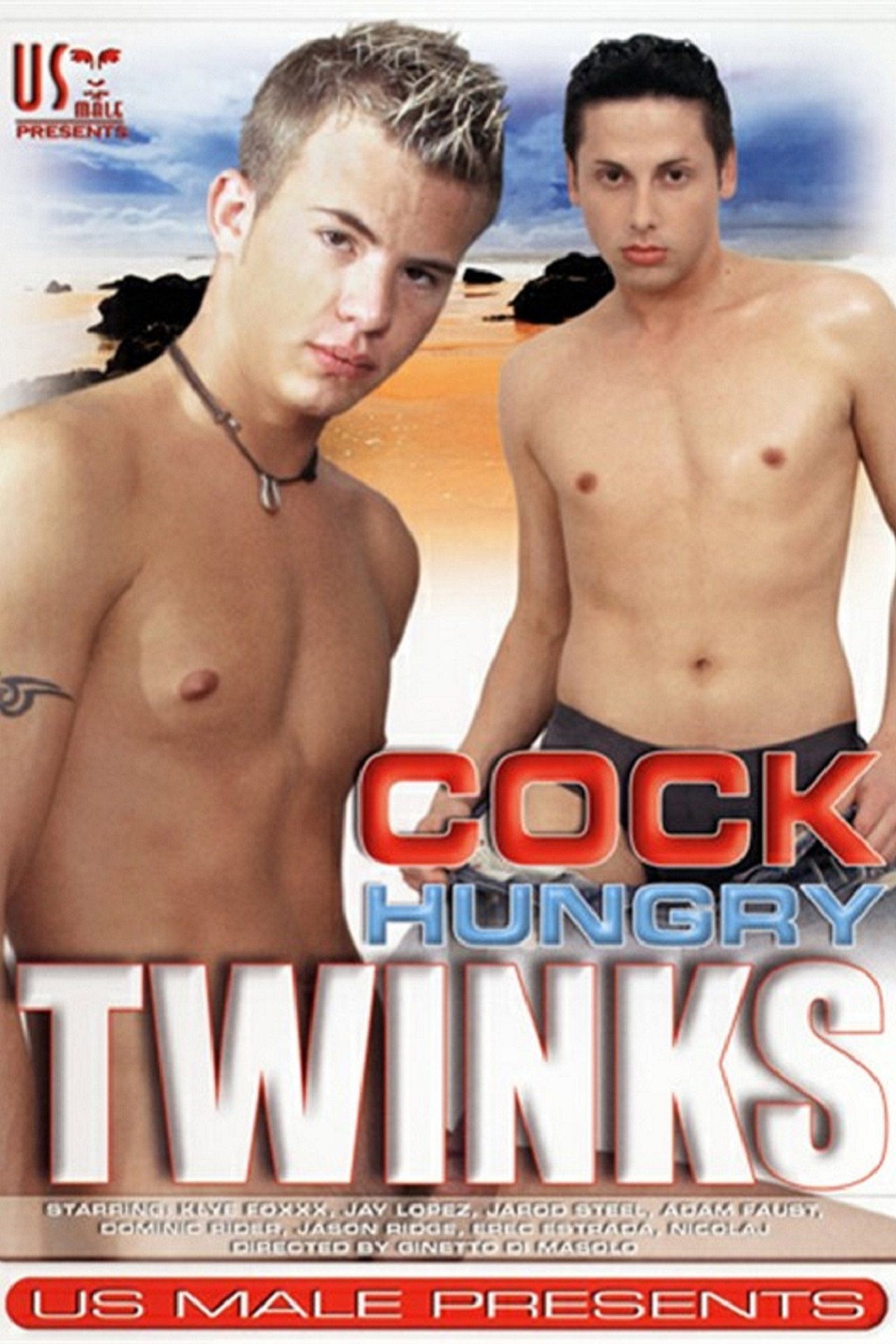 Cock Hungry Twinks filmaffisch