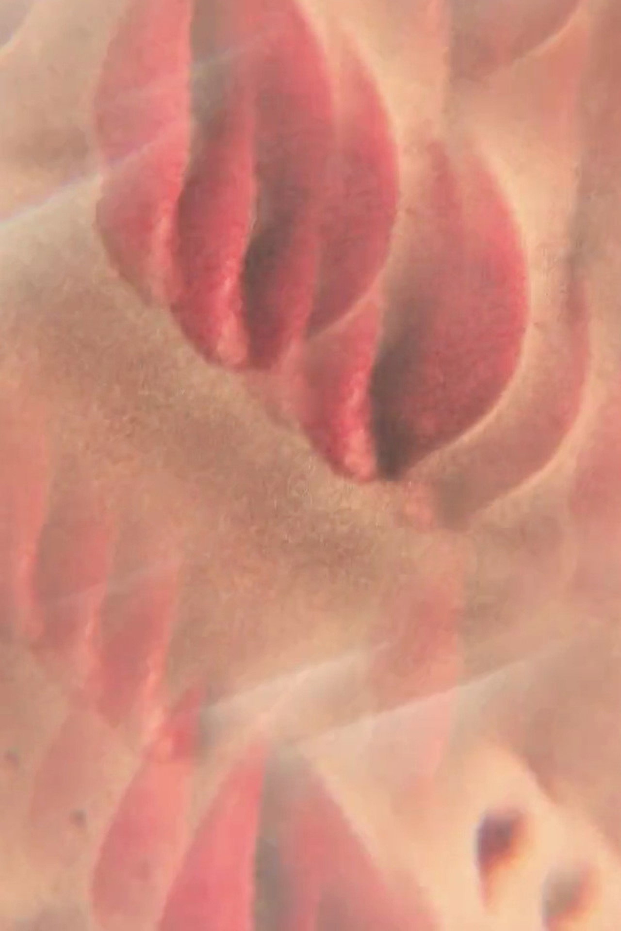 blood keys filmaffisch