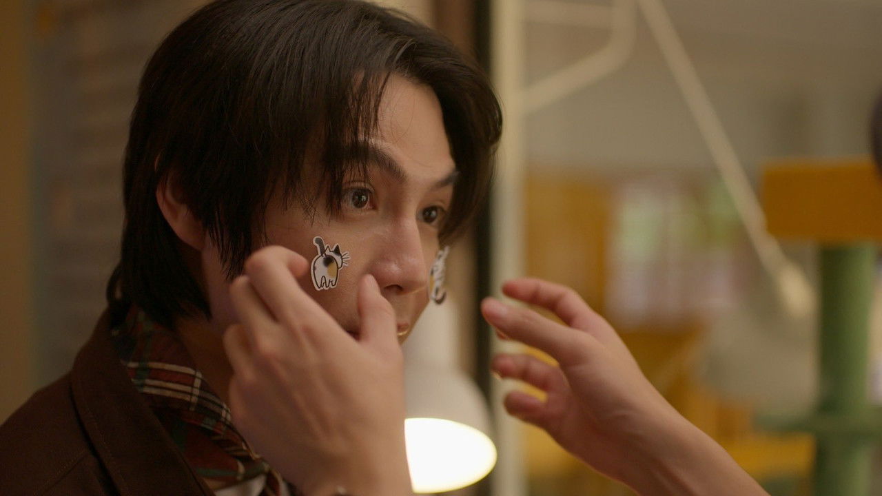 เปย์รักด้วยแมวเลี้ยง