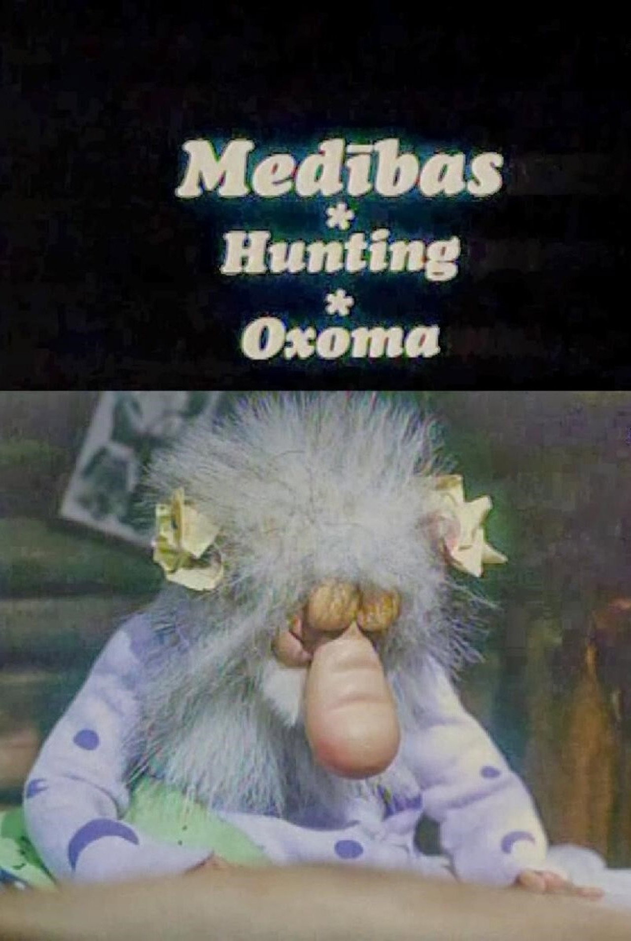 Medības filmaffisch
